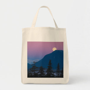 Tote Bag Tombe nocturne en Alaska