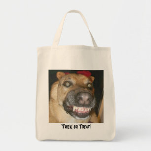 Tote Bag Trick ou Treat Dog !