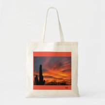 Un sahuaro cactus avec un superbe coucher de solei