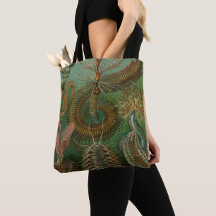 Tote Bag Vers Annélides Chaetopoda vintage par Ernst Haecke