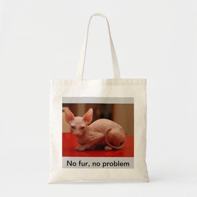 tote with a cute sphynx kitten (Front)