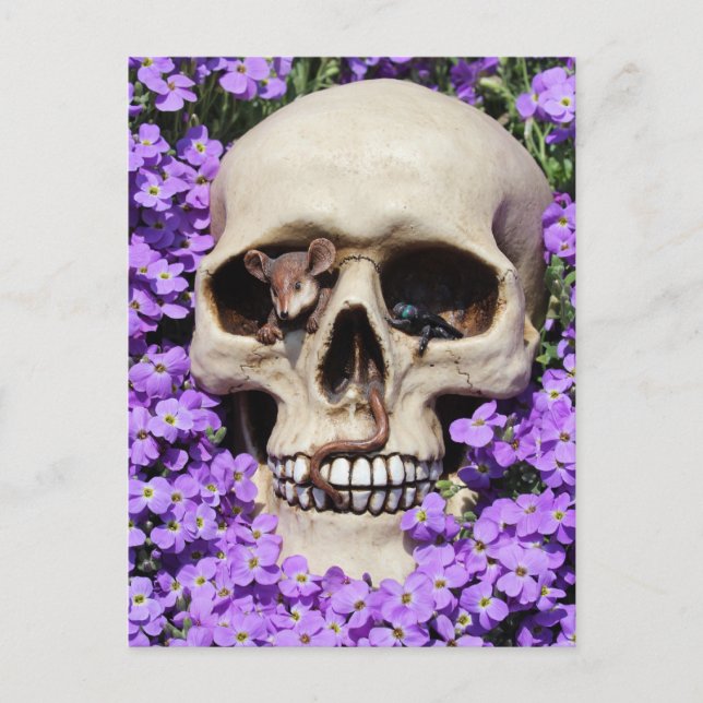 Totenkopf - Gothic / Postkarte Postcard (Front)