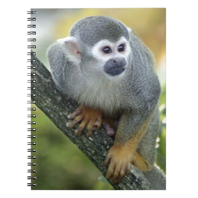 Totenkopfaffe Notebook (Front)