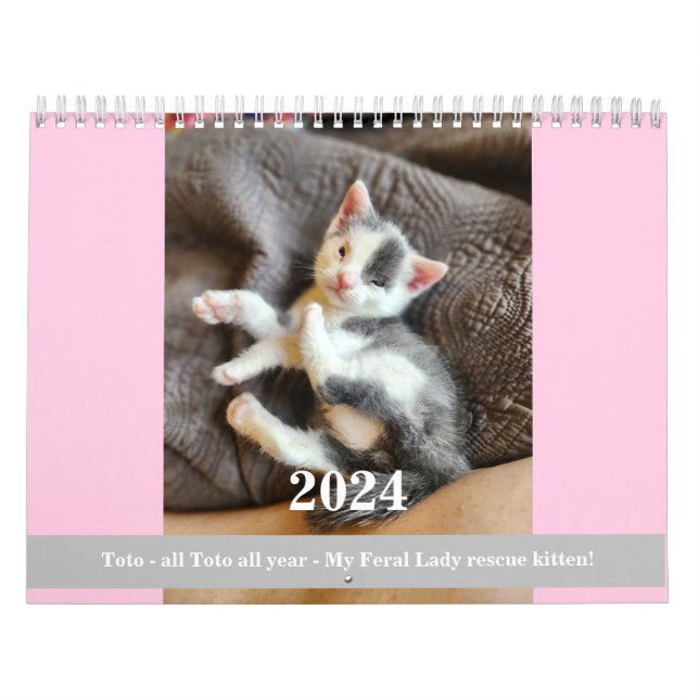 Toto Kitten (Mon secourt Feral Lady) Calendrier 20 (Protection)