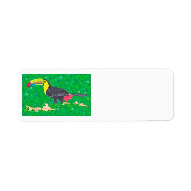 TOUCAN (Front)
