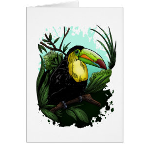 Toucan