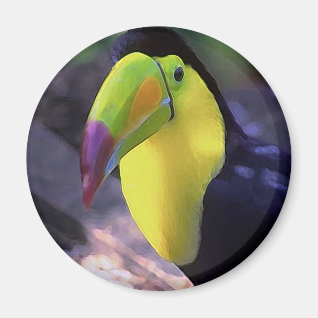 Toucan 1 magnet (Front)