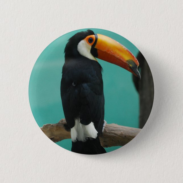 Toucan 2 Inch Round Button (Front)