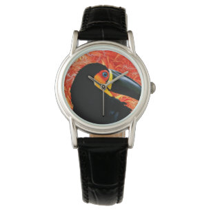 Toucan 3 Watch & Numeral Options