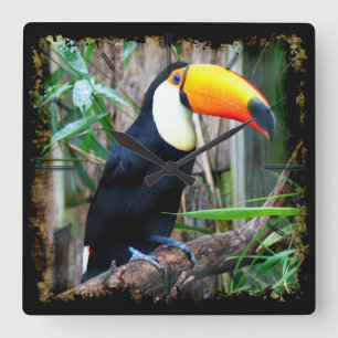 Toucan 5A Mur Horloges & Options Numériques