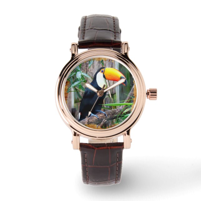 Toucan 5B Watch Options (Front)