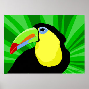 Toucan Art Posters and Prints