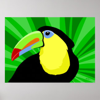 Toucan Art Posters and Prints