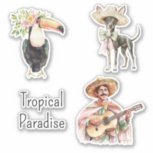 Toucan Bird Chihuahua Dog Mexican Man Guitar