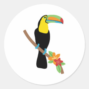 Toucan Bird Classic Round Sticker