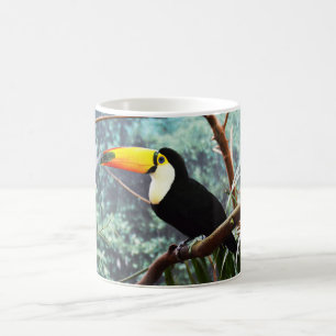Toucan bird coffee mug