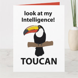 Toucan Bird Cute Funny Card