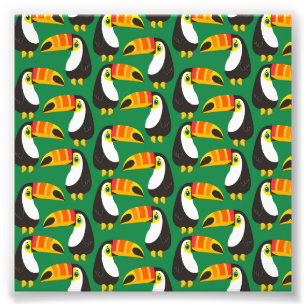 Toucan Bird Orange Colorful Beak Green Animals Photo Print