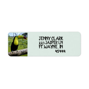 TOUCAN BIRD Return Address Labels