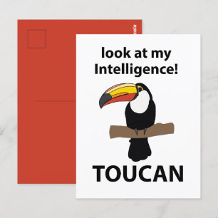 Toucan Bird Tropical Funny Postcard