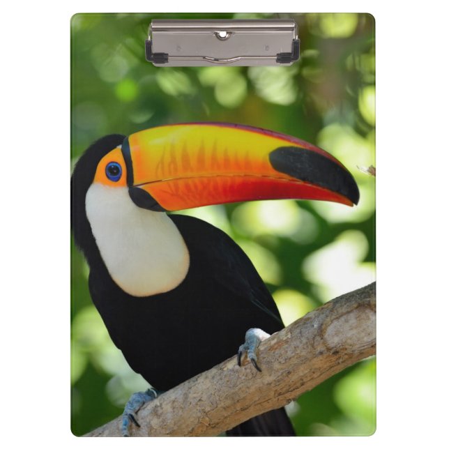 Toucan Clipboard (Front)