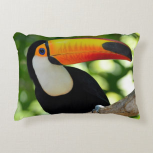Toucan Decorative Pillow
