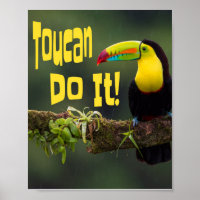 Toucan Do It! Colourful Bird Motivational Funny