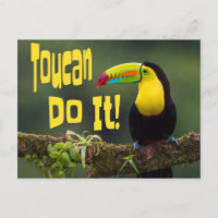 Toucan Do It! Colourful Bird Motivational Funny Pu