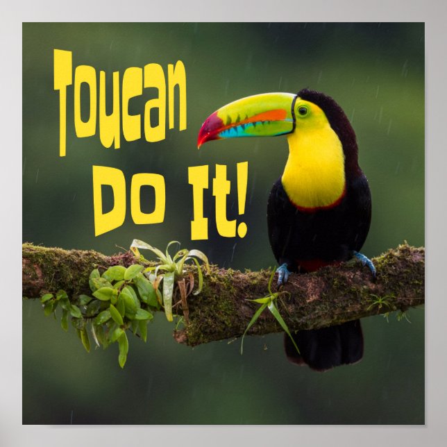 Toucan Do It! Colourful Bird Motivational Funny Pu Poster (Front)