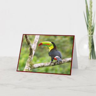 Toucan Folded Greeting Card