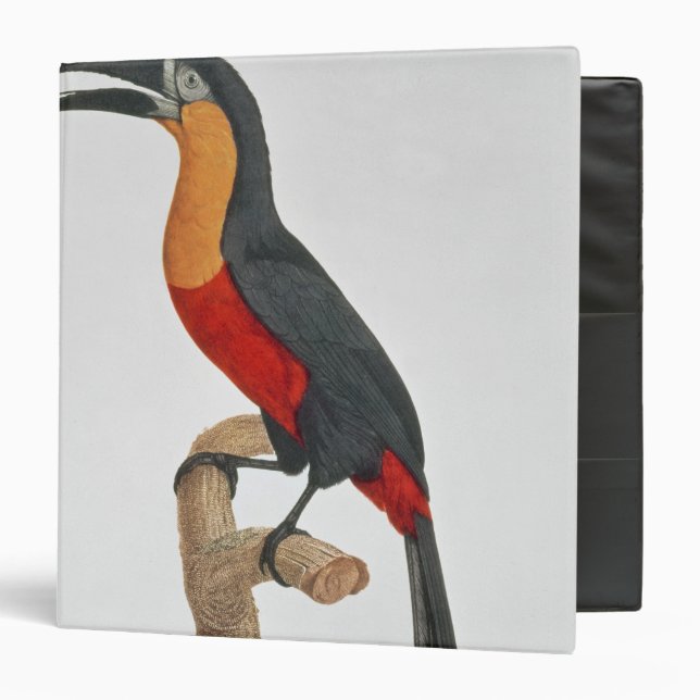 Toucan: Great Red-Bellied by Jacques Barraband Binder (Front/Inside)