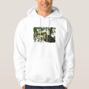 Toucan in the Jungle Hoodie