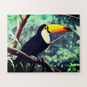 Toucan Jigsaw Puzzle