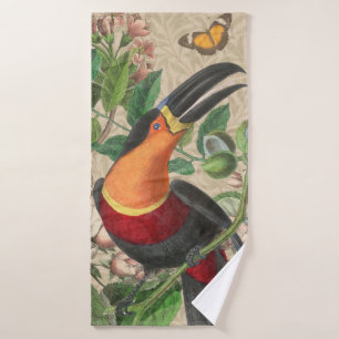 Toucan Jungle Oiseau Tropical Beau Antique