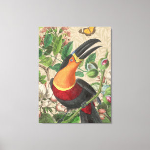 Toucan Jungle Tropical Bird Beautiful Antique Canvas Print