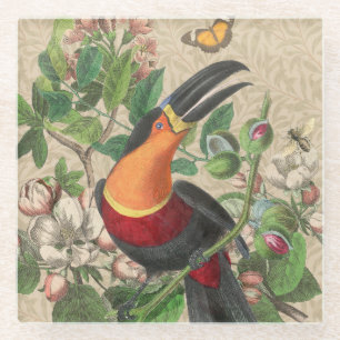 Toucan Jungle Tropical Bird Beautiful Antique Glass Coaster