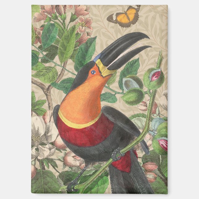 Toucan Jungle Tropical Bird Beautiful Antique Magnet (Front)