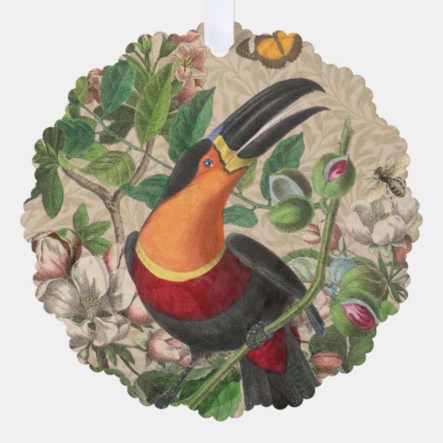Toucan Jungle Tropical Bird Beautiful Antique Ornament Card (Front)