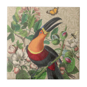 Toucan Jungle Tropical Bird Beautiful Antique Tile