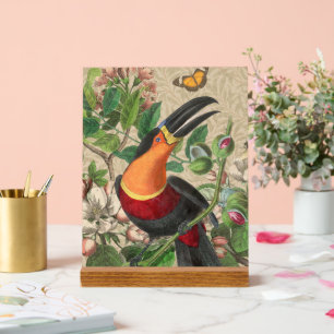 Toucan Jungle Tropical Bird Belle antique