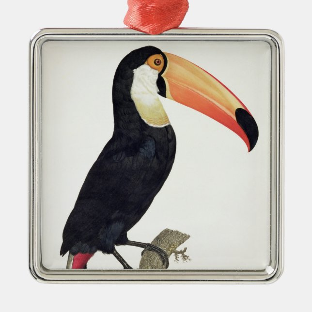 Toucan No.2, from 'History of the Birds of Paradis Metal Ornament (Front)
