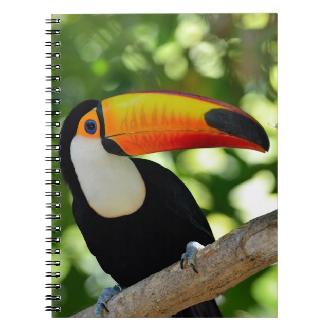 Toucan Notebook (Front)