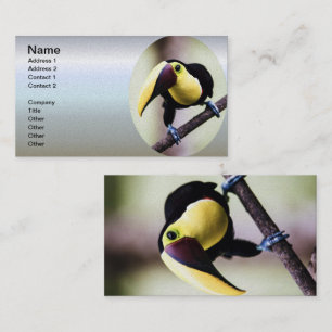 Toucan of Costa Rica Business Card