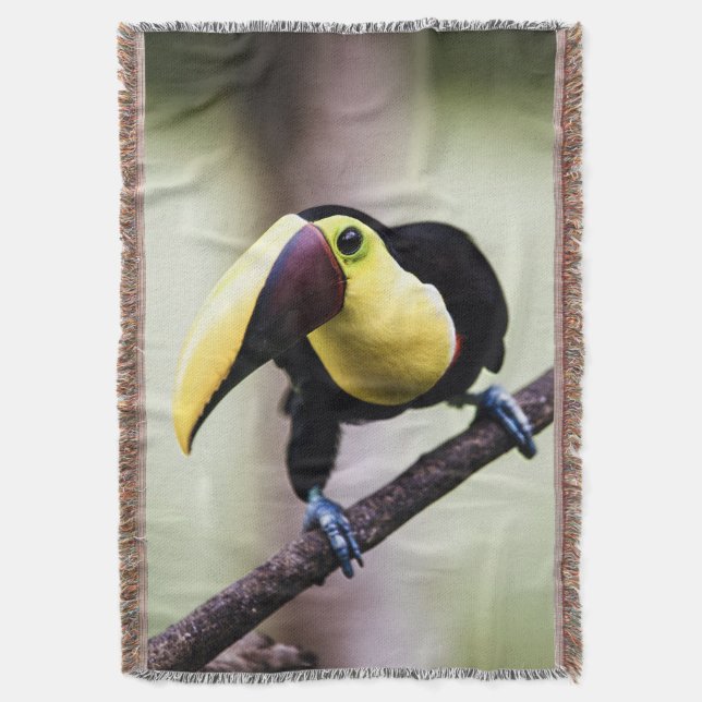 Toucan of Costa Rica Throw Blanket (Front Vertical)