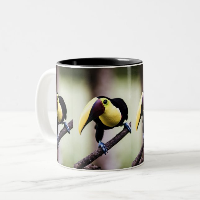 Toucan of Costa Rica Two-Tone Coffee Mug (Front Left)