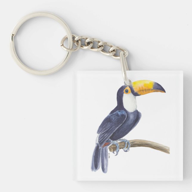 Toucan, oiseau tropical (Devant)