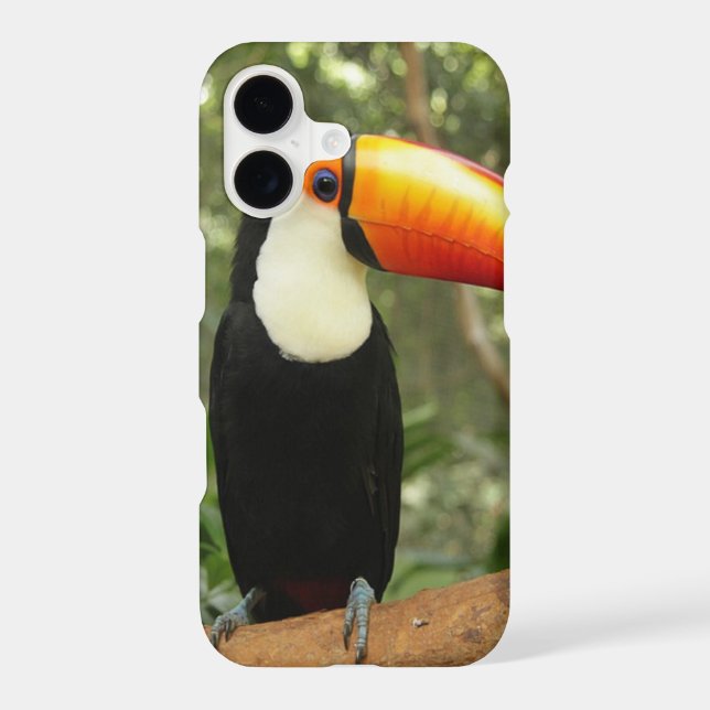 Toucan on tree branch (Back)