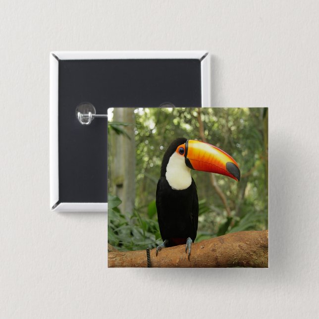 Toucan on tree branch 2 inch square button (Front & Back)
