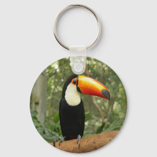 Toucan on tree branch keychain