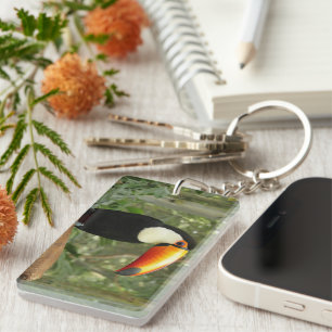 Toucan on tree branch keychain